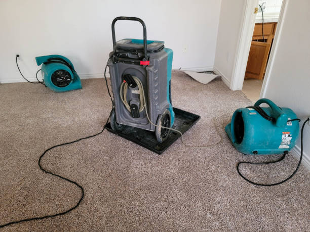 Best Water damage repair service  in Lanai City, HI