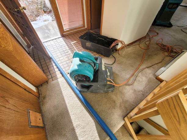 Professional Water damage restoration in HI