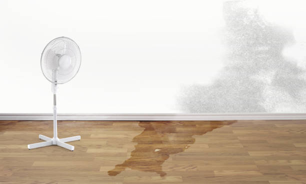 Best Water damage restoration cost  in Lanai City, HI