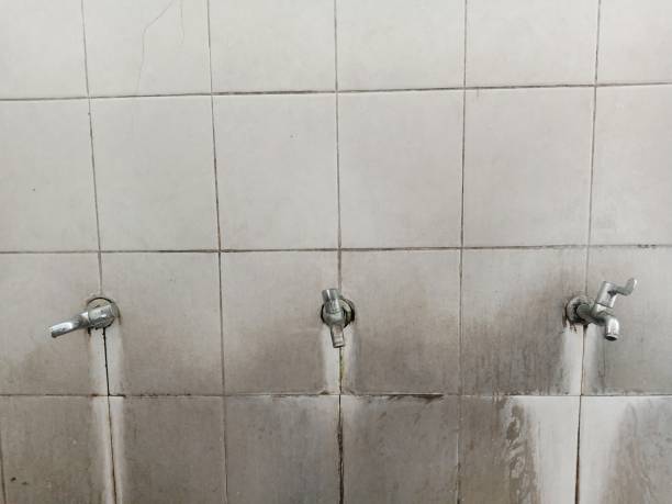 Best Commercial water damage restoration  in Lanai City, HI