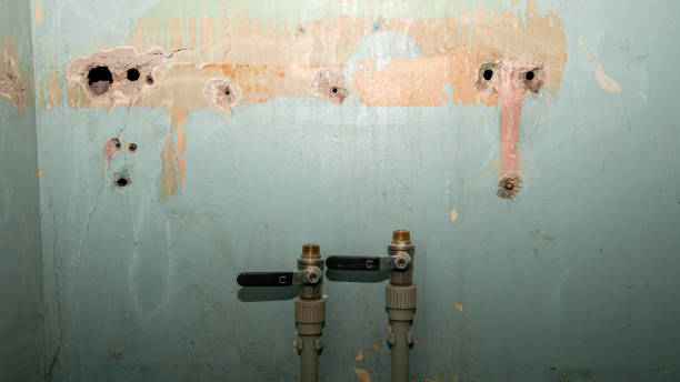 Best Flood restoration services  in Lanai City, HI