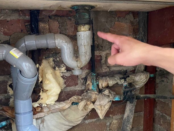 Best 24-hour water damage restoration  in Lanai City, HI